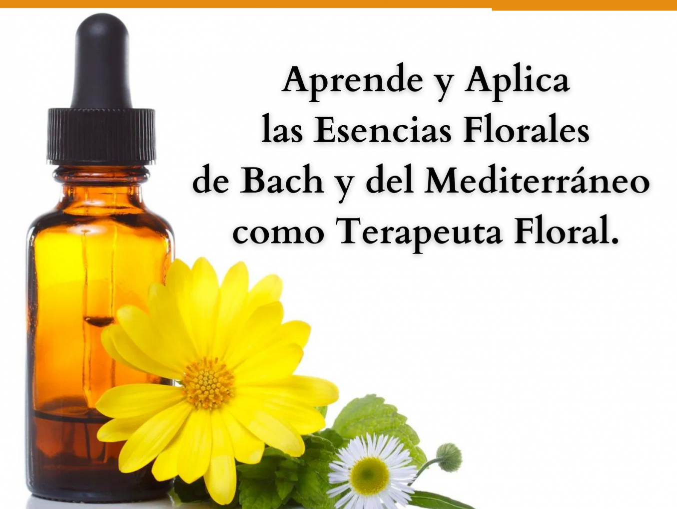 Formación en Terapia Floral de Bach y del Mediterráneo